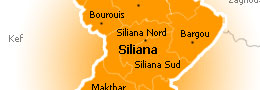 siliana-19102012