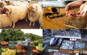 agriculture_investissement_tunisie