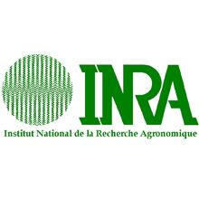 INRA-France-tunisie-recrutement