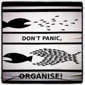 don't panic organise