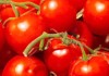 Tomates à plus de 5 dinars en Tunisie : une crise profonde de la filière agricole