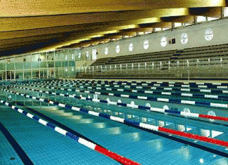 1er championnat méditerranéen de finswimming: Plus de 10 pays attendus en Tunisie