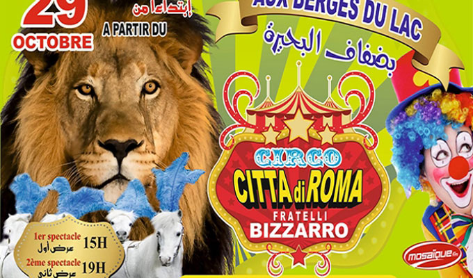 CIRQUE-CITTA-DI-ROMA