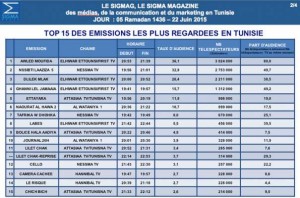 segma-2 (1)