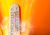 Tunisie : juillet 2026, deuxième mois de juillet le plus chaud depuis 1950