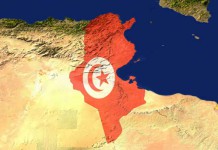 Tunisie: Le 15ᵉ anniversaire de la Révolution commémoré à travers les régions