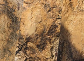 Archéologie: Des empreintes de dinosaures de 140 millions d’années découverts à Ghomrassen