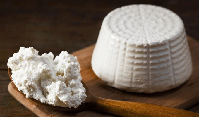 ricotta-fait-maison-tunisie-directinfo-