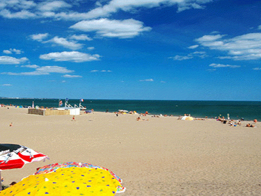 Nabeul: L’APAL poursuit ses interventions dans 44 plages