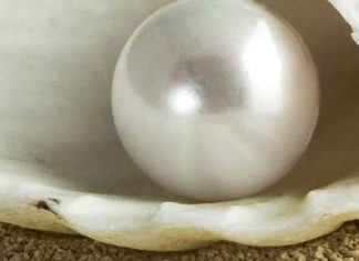 Il cache sous son lit, 10 ans durant, une perle qui vaut 100 millions d’euros (VIDÉO)