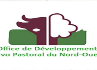Tunisie-Emploi : L’Office de développement Sylvo-Pastoral du Nord-Ouest recrute