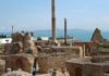 Carthage : polémique autour des opérations d’abattage d’arbres