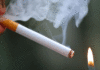 La Société tunisienne des autoroutes interdit le jet de mégots de cigarette sur la route