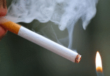 La Société tunisienne des autoroutes interdit le jet de mégots de cigarette sur la route
