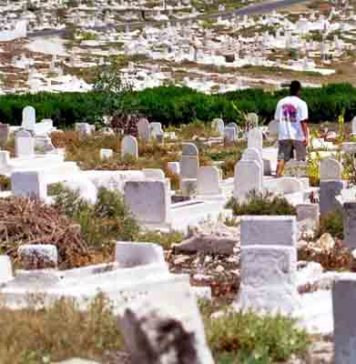 Sidi Bouzid Est : 5 hectares de terres agricoles sacrifiés pour un nouveau cimetière