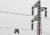 Bizerte : un jeune homme de 29 ans meurt électrocuté en raison des coupures d’électricité