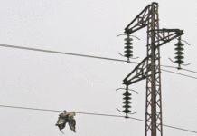 Bizerte : un jeune homme de 29 ans meurt électrocuté en raison des coupures d’électricité