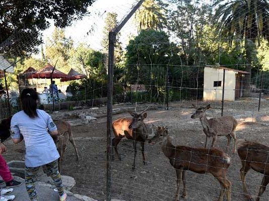 Tunisie : le zoo du Belvédère ferme ses portes pour un mois