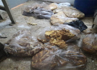 Le maire de Mnihla découvre une catastrophe culinaire dans une usine de cakes