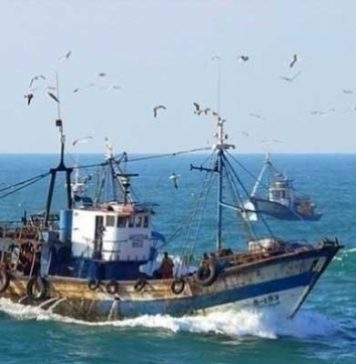 Nabeul : Un marin pêcheur secouru au large de Kélibia