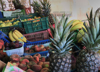 Tunisie : hausse de 60% des exportations de fruits et légumes vers l’Italie