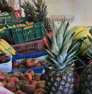 Tunisie : hausse de 60% des exportations de fruits et légumes vers l’Italie