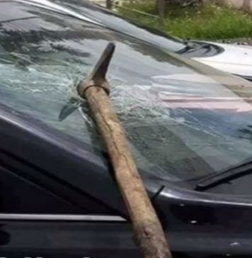 Hammamet : un jeune homme coupe l’oreille de son voisin à l’aide d’une arme blanche et attaque sa tante