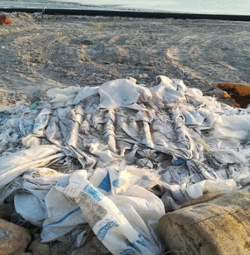 Rejiche : une grande campagne de nettoyage du littoral contre la pollution plastique
