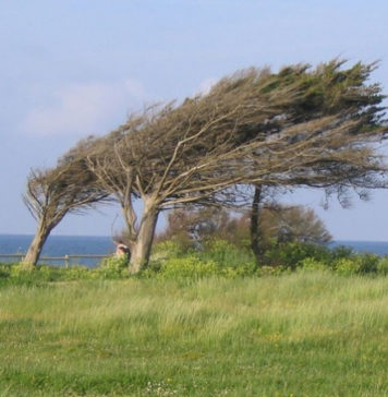 Tunisie : Prévisions météo du mercredi 4 mars 2026