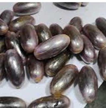 Trafic de cocaïne à Tunis-Carthage : 627 capsules avalées et un vaste réseau international démantelé