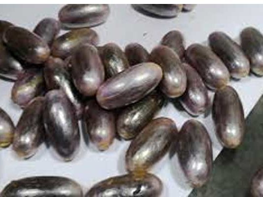 Trafic de cocaïne à Tunis-Carthage : 627 capsules avalées et un vaste réseau international démantelé