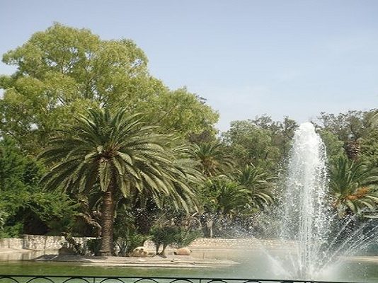 Zoo du Belvédère à Tunis : modernisation et aménagement des enclos après la mort de Baby