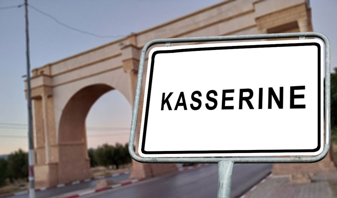 Kasserine : Aucun cas de fièvre du Nil occidental ni de fièvre de la vallée du Rift signalé