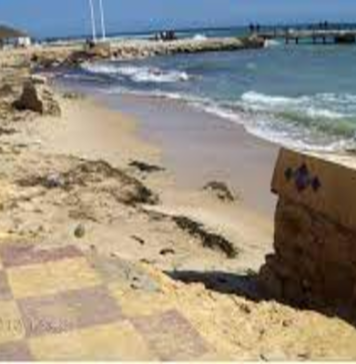 Érosion côtière en Tunisie : des mesures urgentes pour protéger 400 km du littoral