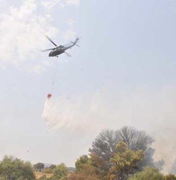 Siliana : l’incendie du mont Mezata maîtrisé après une intervention aérienne