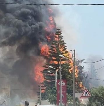 Tunisie : vigilance maximale face aux risques de feux d’autoroute