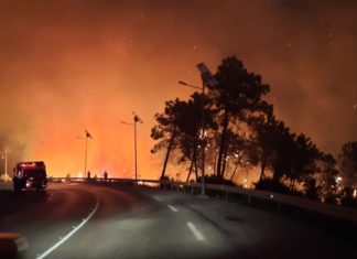 Mont Bargou en feu : les flammes menacent les zones habitées, près de 100 familles évacuées