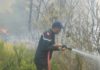 Tunisie : 139 incendies maîtrisés par la Protection civile en 24 heures