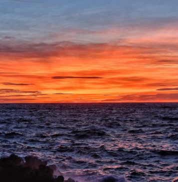 Météo Tunisie : une nuit de dimanche encore très chaude avec des températures jusqu’à 42°C