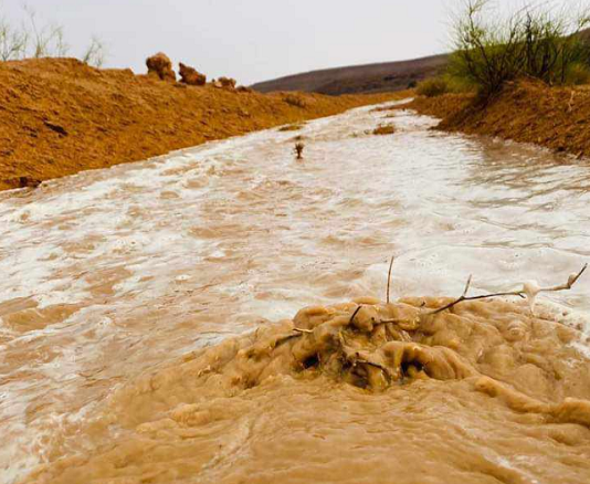 Tunisie : fortes pluies et inondations dans plusieurs gouvernorats