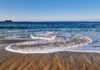 Hausse de la bactérie « mangeuse de chair » en Méditerranée en raison du réchauffement des mers