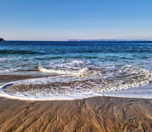 Hausse de la bactérie « mangeuse de chair » en Méditerranée en raison du réchauffement des mers