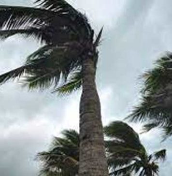 Vents forts : Vingt gouvernorats sur 24 placés en vigilance orange