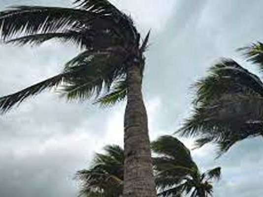 Vents forts : Vingt gouvernorats sur 24 placés en vigilance orange