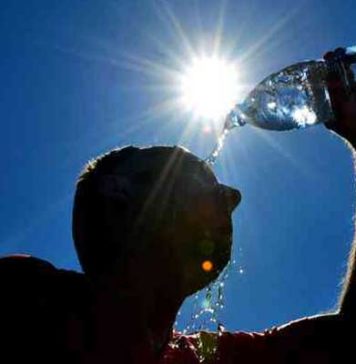 Canicule en France : records de chaleur, près de 1 000 décès supplémentaires