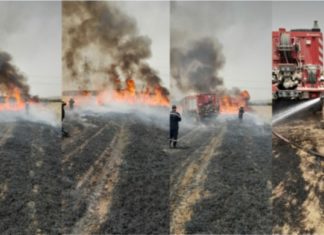 Journée noire à Jendouba : trois incendies dévastateurs en un jour