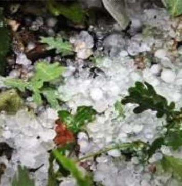 Kairouan : fortes pluies, grêle et vents violents après plusieurs jours de chaleur intense