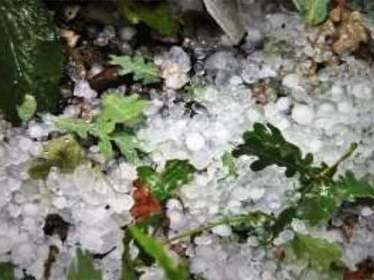 Kairouan : fortes pluies, grêle et vents violents après plusieurs jours de chaleur intense
