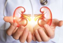 Tunisie : 9 % des citoyens souffrent de maladies rénales, alerte d’un spécialiste