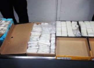 Retour en Tunisie de 3 852 pièces de monnaie antiques